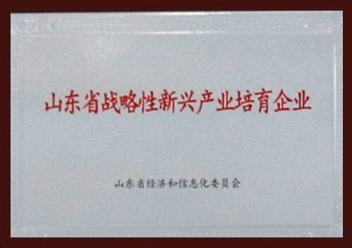 Doanh nghiệp Mới được Hỗ trợ Chiến lược tỉnh Sơn Đông